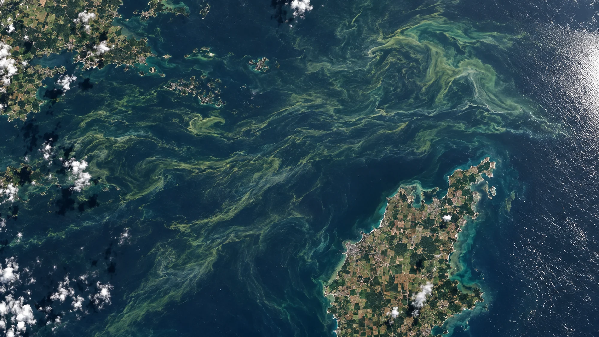 Illustrative orbital imagery: algal bloom in the Baltic Sea